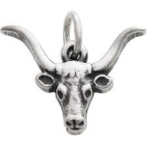 Retired Texas Longhorn James Avery Charm